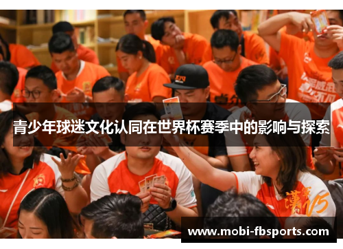 青少年球迷文化认同在世界杯赛季中的影响与探索