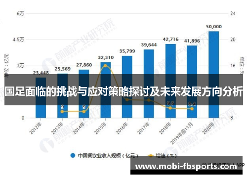 国足面临的挑战与应对策略探讨及未来发展方向分析