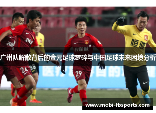 广州队解散背后的金元足球梦碎与中国足球未来困境分析