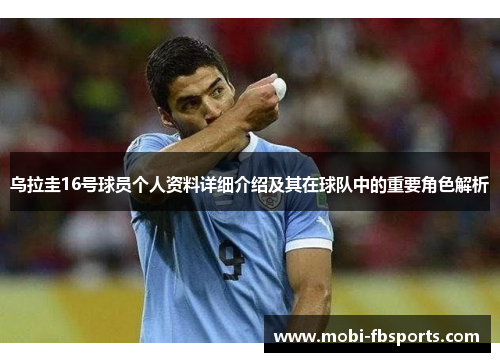 乌拉圭16号球员个人资料详细介绍及其在球队中的重要角色解析